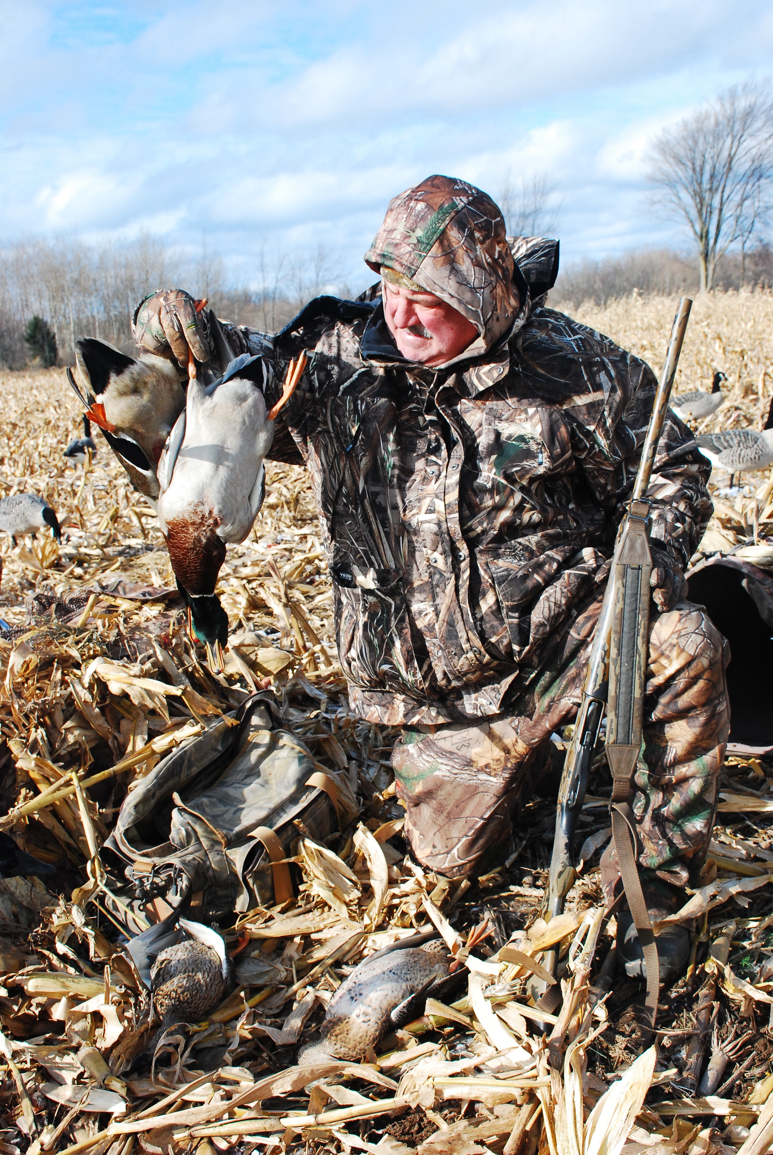 A hunter holding up his harvest after shooting waterfowl, using hunting dogs concept. 