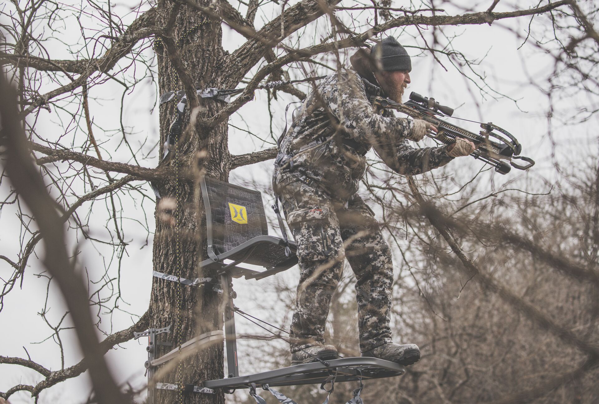 A hunter using a crossbow from a tree stand