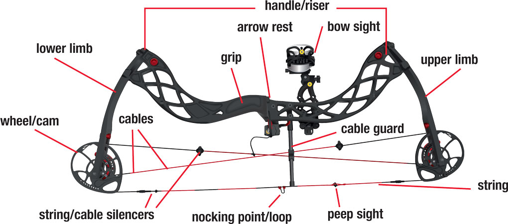 Drawing of a compound bow with labels for the parts. 