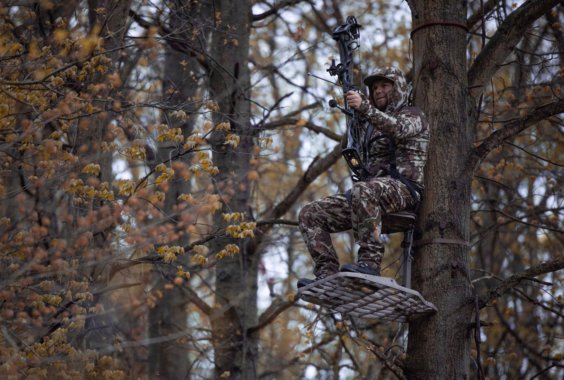 A hunter in a tree stand with a compound bow. 