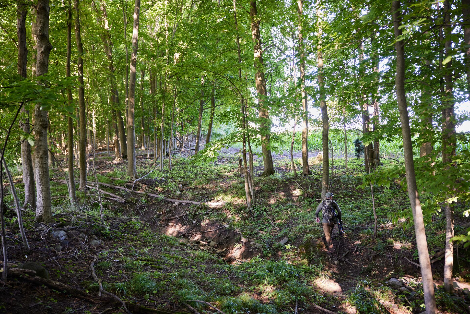 A hunter walking through the woods, set up a trail cam concept. 