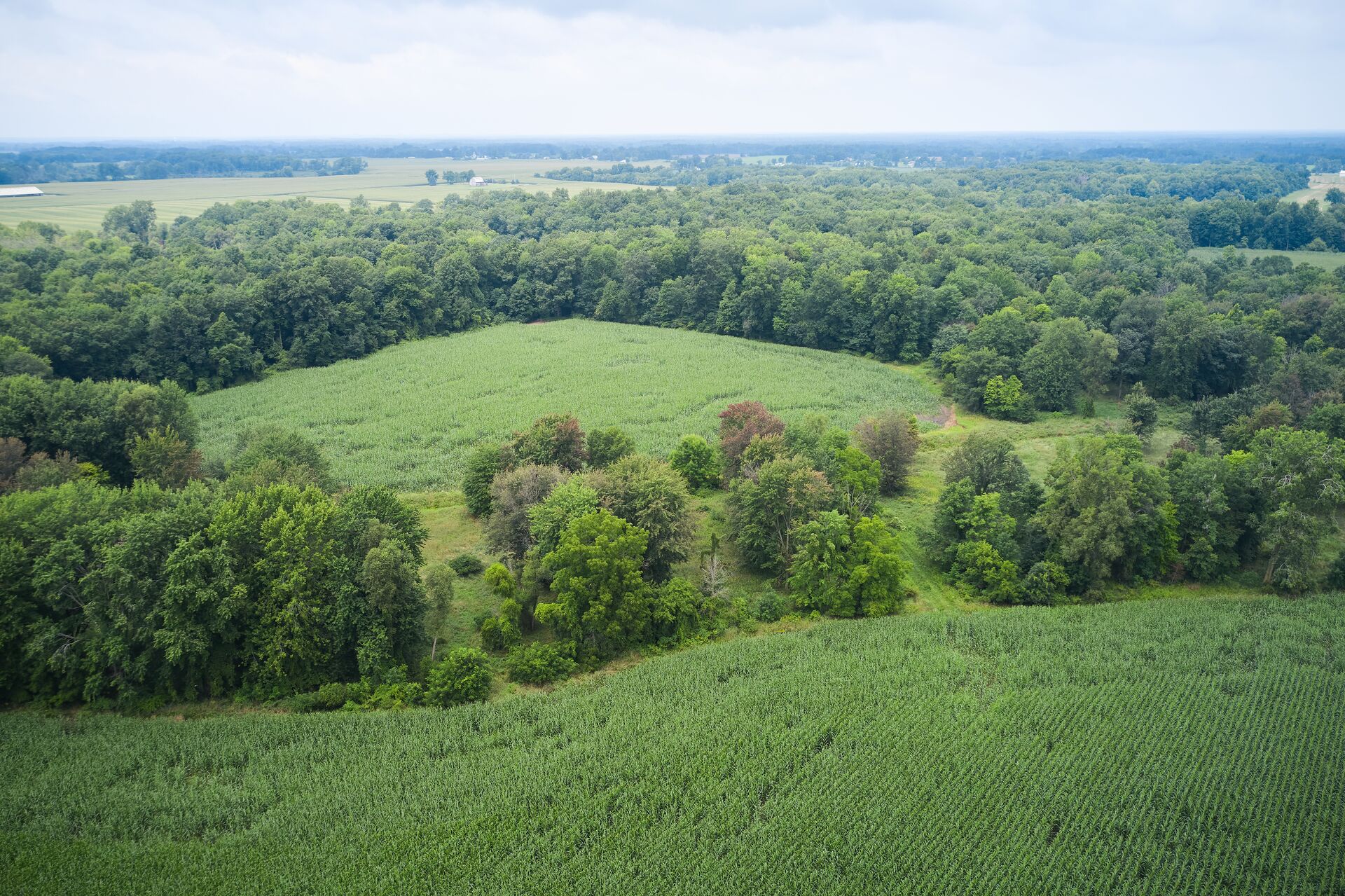 An aerial view of hunting land, plan for whitetail season concept. 