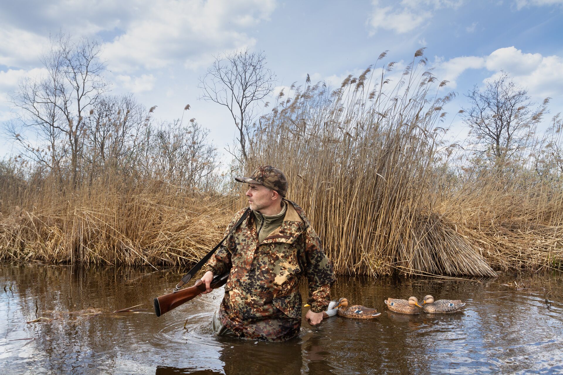 A duck hunter in the water with a shotgun and decoys. 