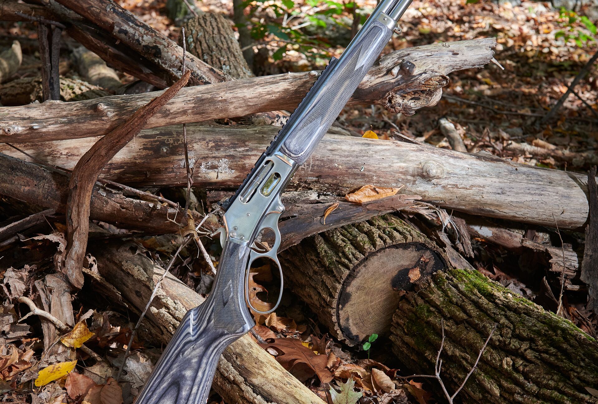 A lever action rifle leans against several logs. 