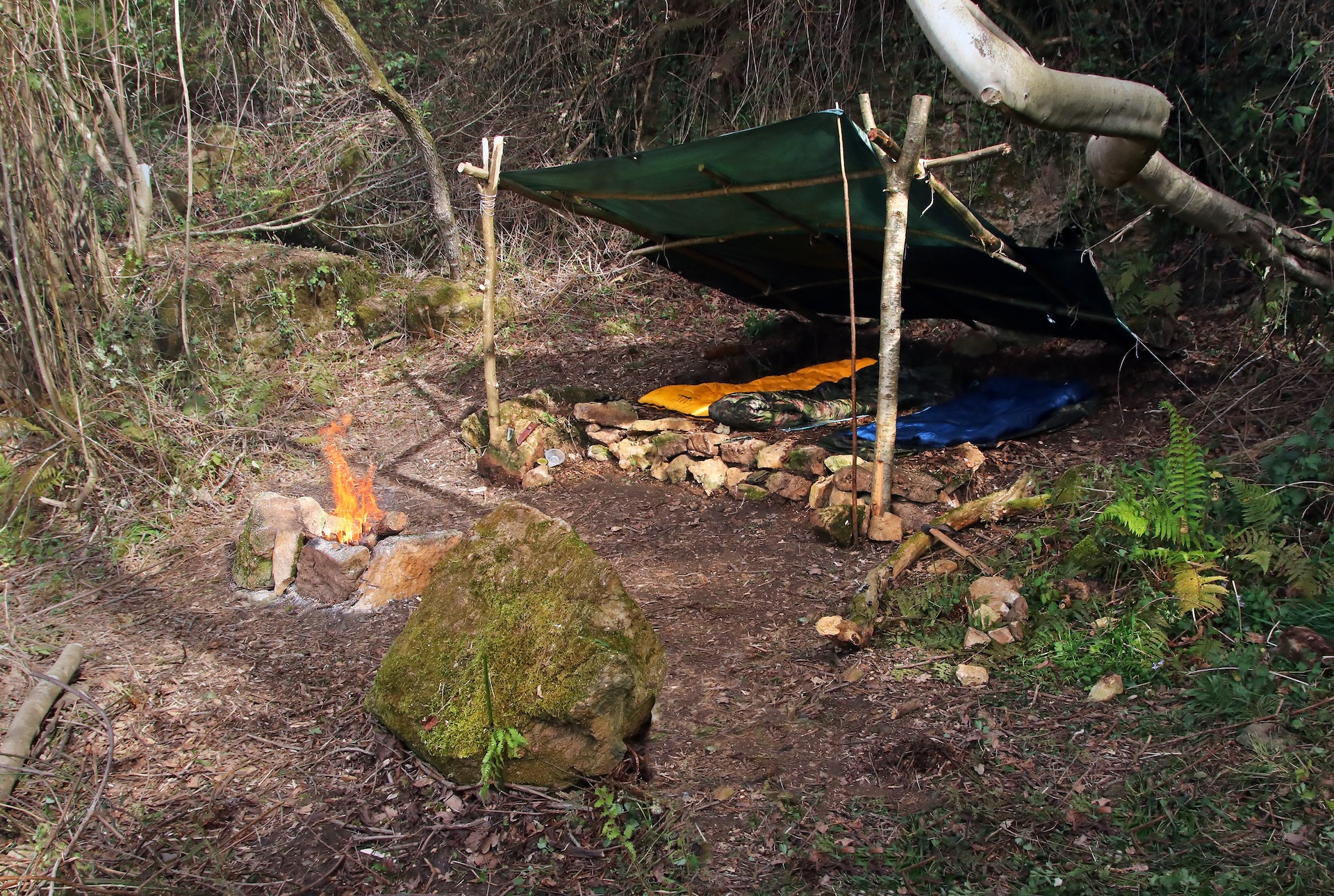 A campsite in the woods.