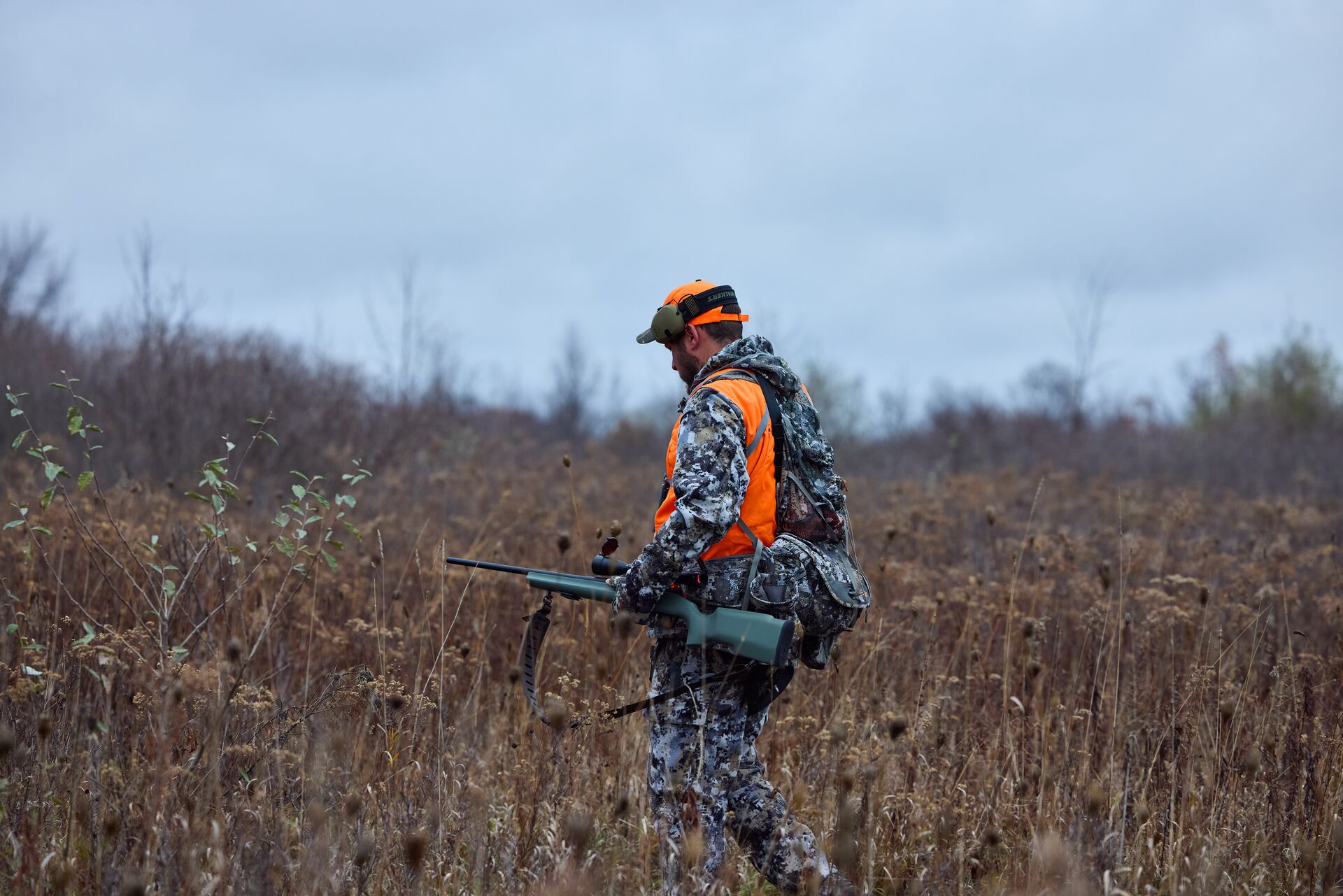 A hunter wears blaze orange while walking in the brush. 