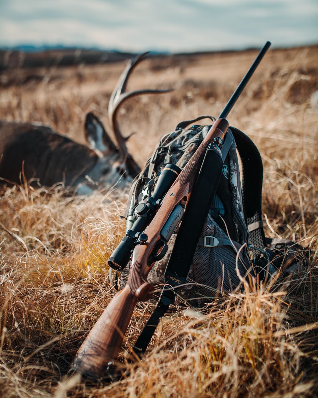 A rifle leans against a hunting pack with a downed animal in the background. 