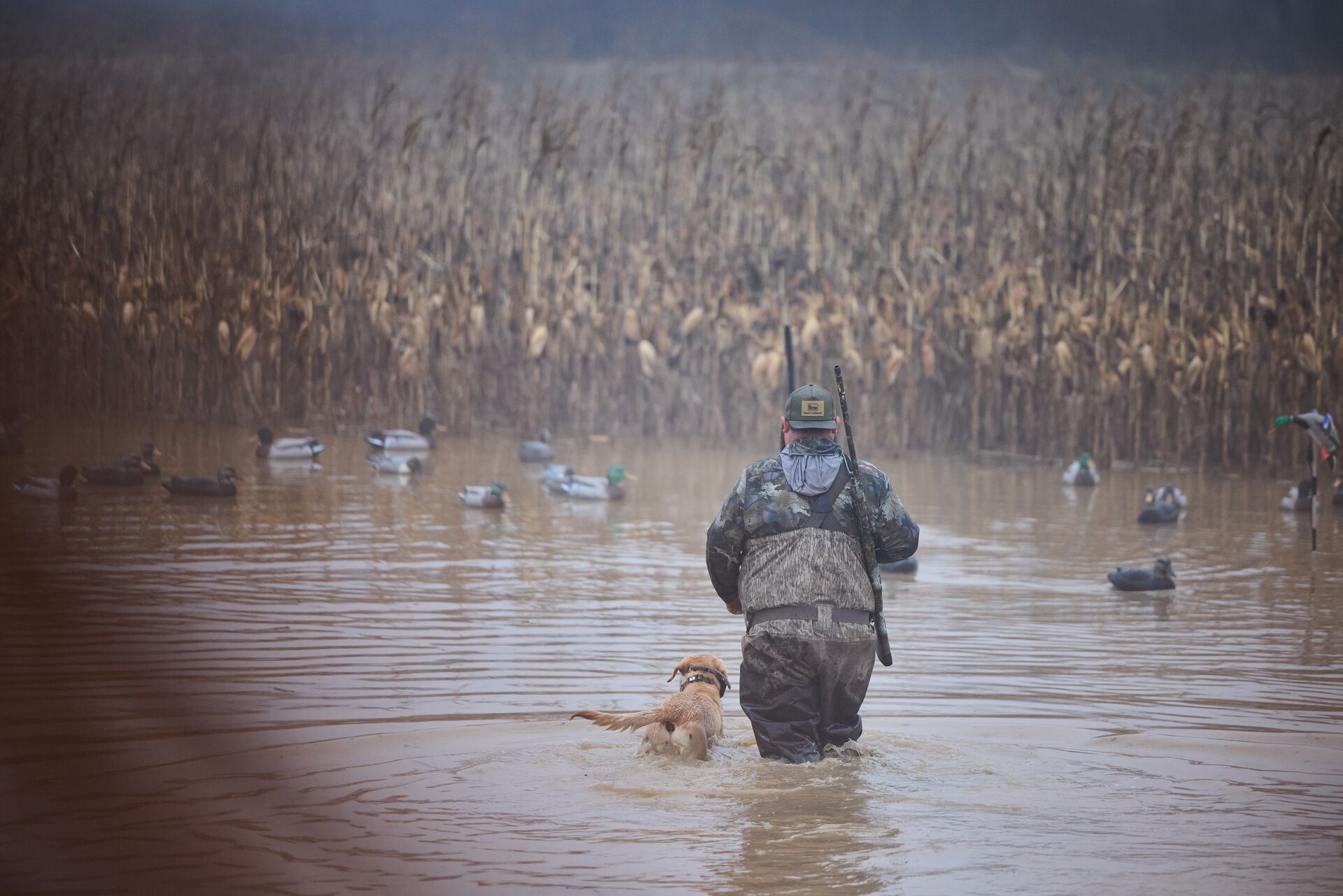 A hunter with his dog in the water on a waterfowl hunt, get a New Jersey hunting license concept. 