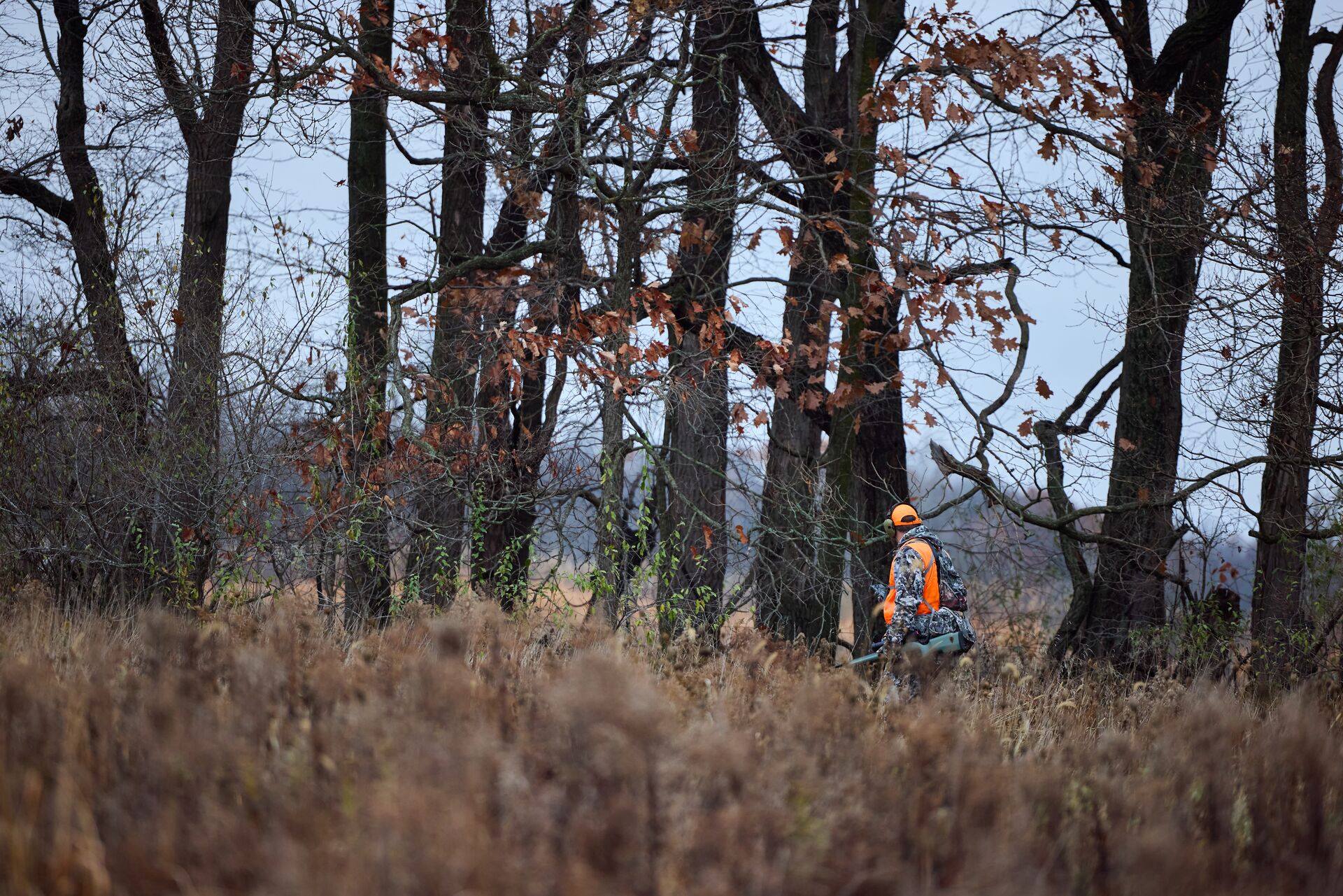 A hunter wear blaze orange and camo in the woods at a distance. 