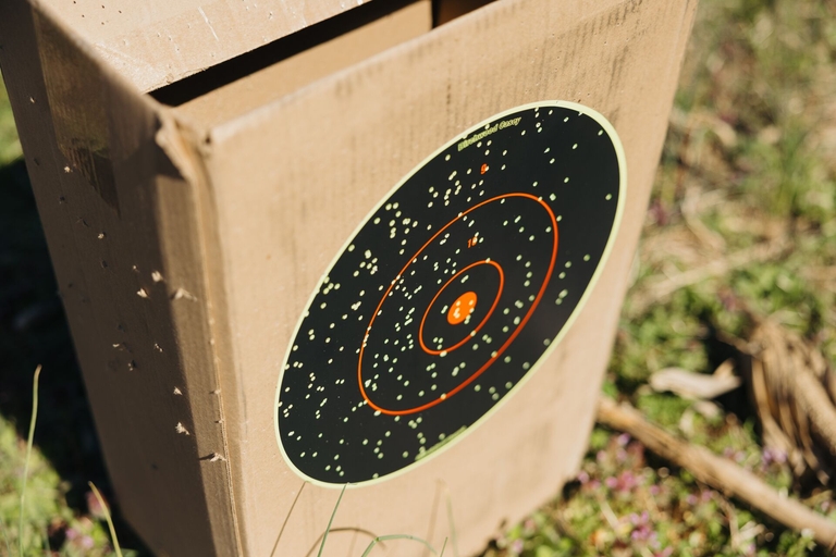 Paper target showing pellet spread from shotgun patterning.
