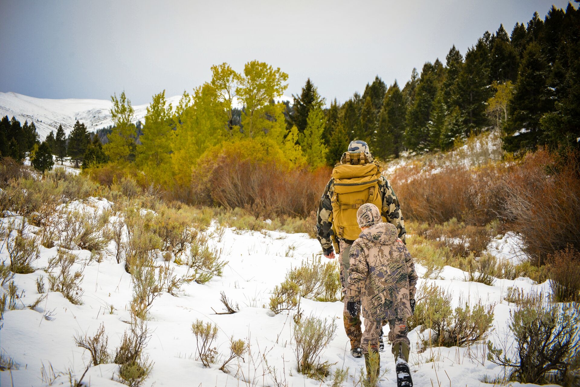 Understanding Colorado Hunting Regulations | Hunter-ed.com™