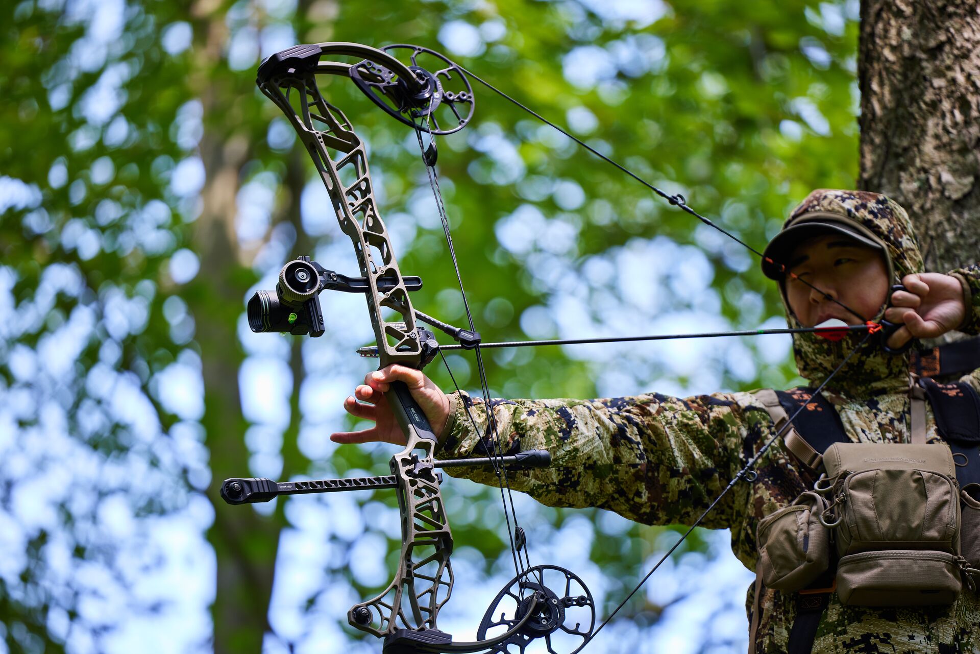 Bowhunter in tree stand draws bow, hunting safety concept. 