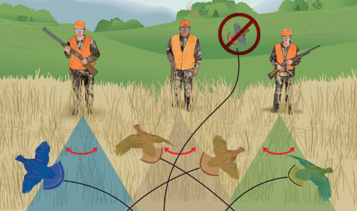 Illustration of the safe zone of fire. 