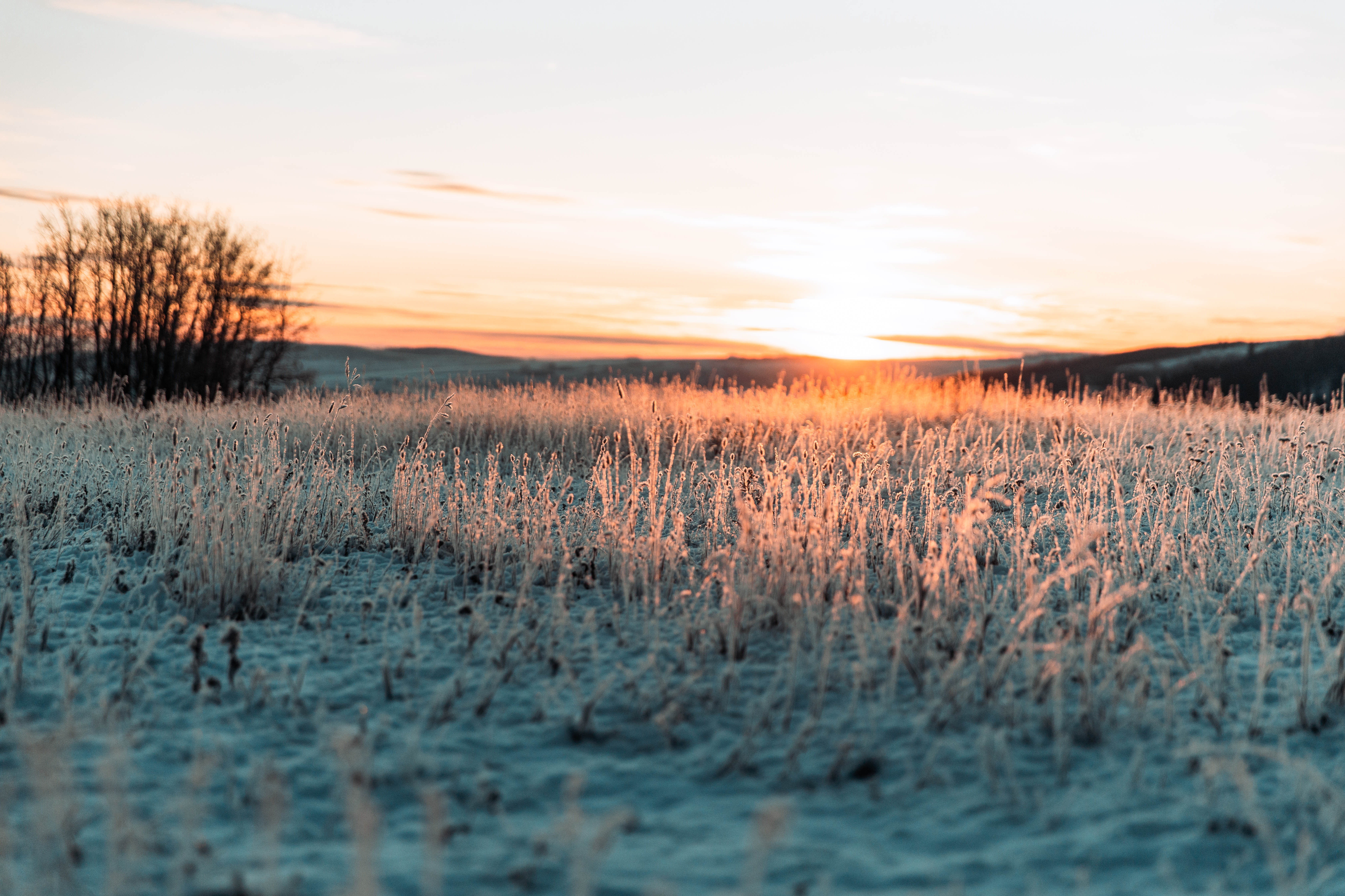 A field, a hunter safety course helps hunters stay safe concept. 