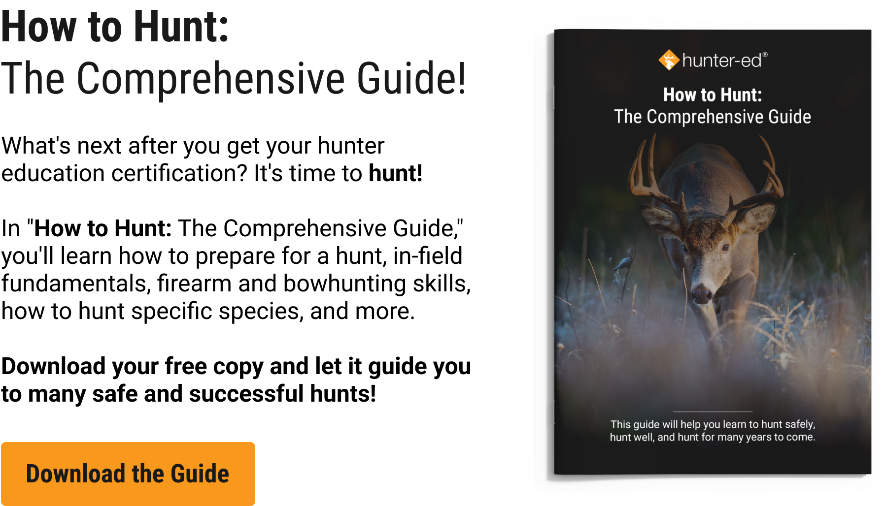 Illustration with CTA to download How to Hunt The Comprehensive Guide from Hunter-Ed. 