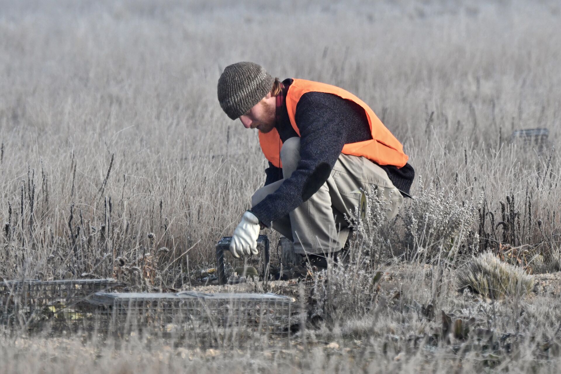 Guy in blaze orange setting up a trap. 
