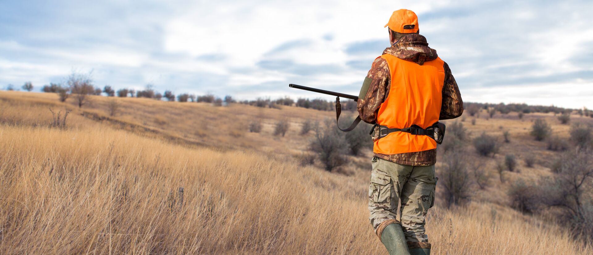 Hunter in blaze orange with shotgun walks in field. 