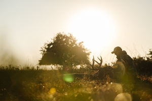 Silhouette of hunter with deer on ground after hunt, early season deer hunting concept.