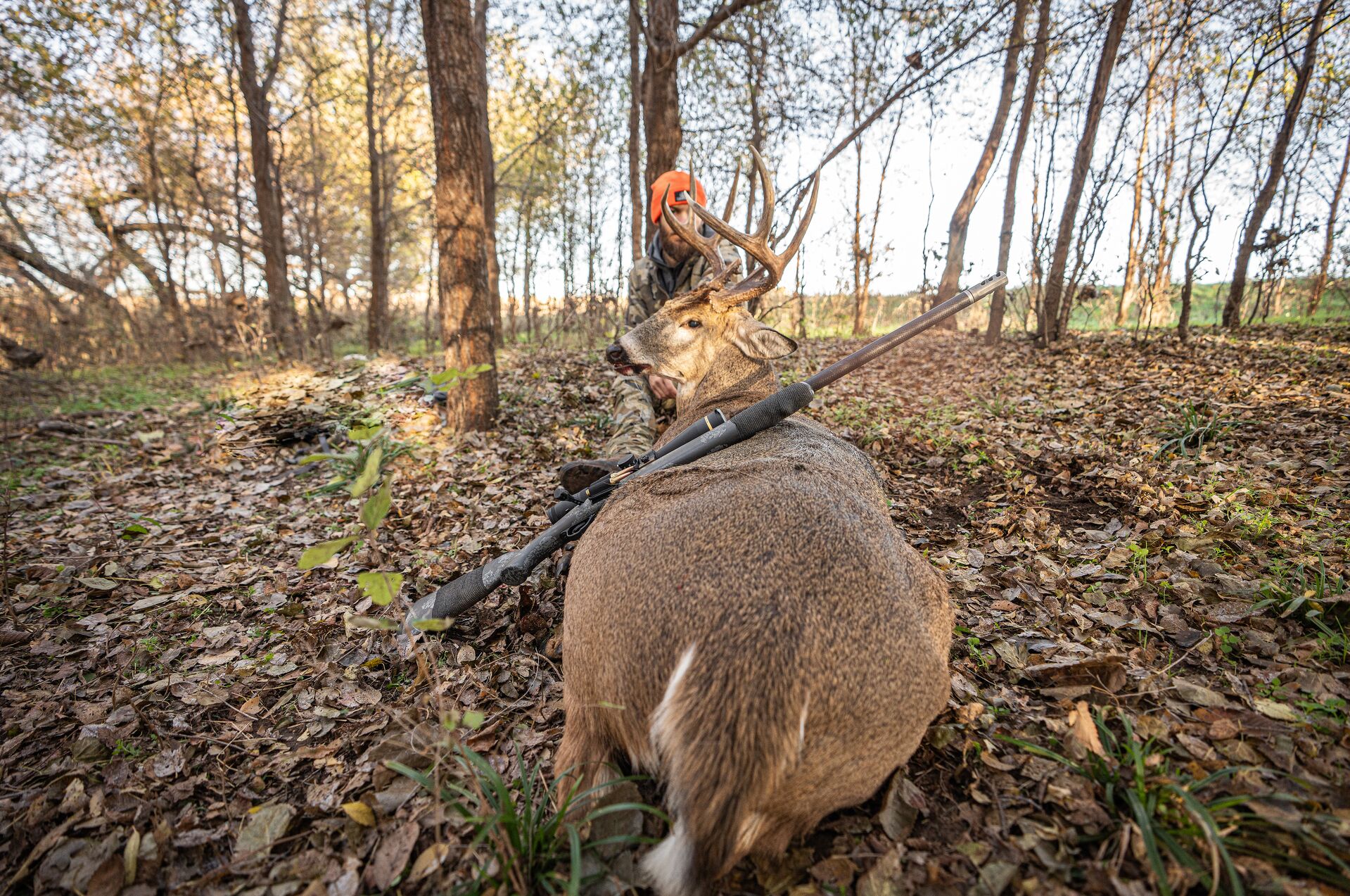 Hunter leans rifle against large buck deer after hunt. 