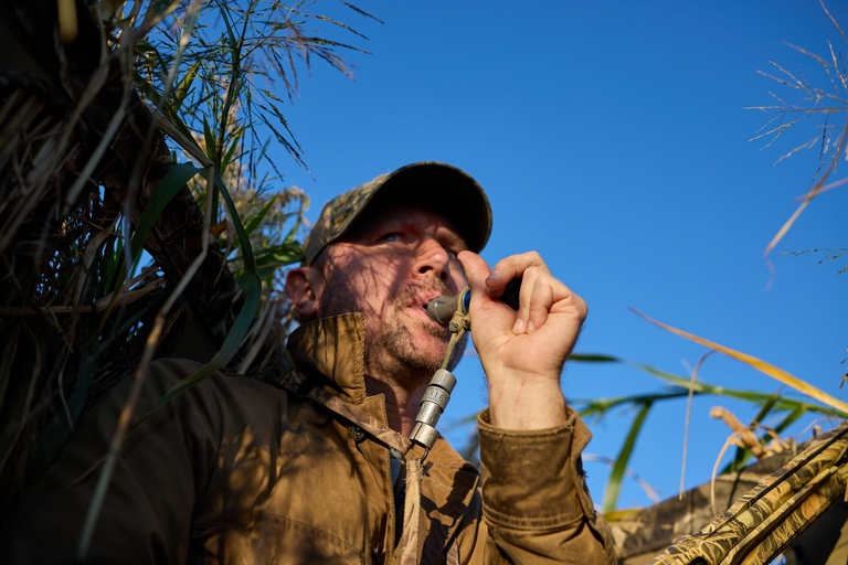 Hunter uses duck call while in tall reeds, NC duck season concept.