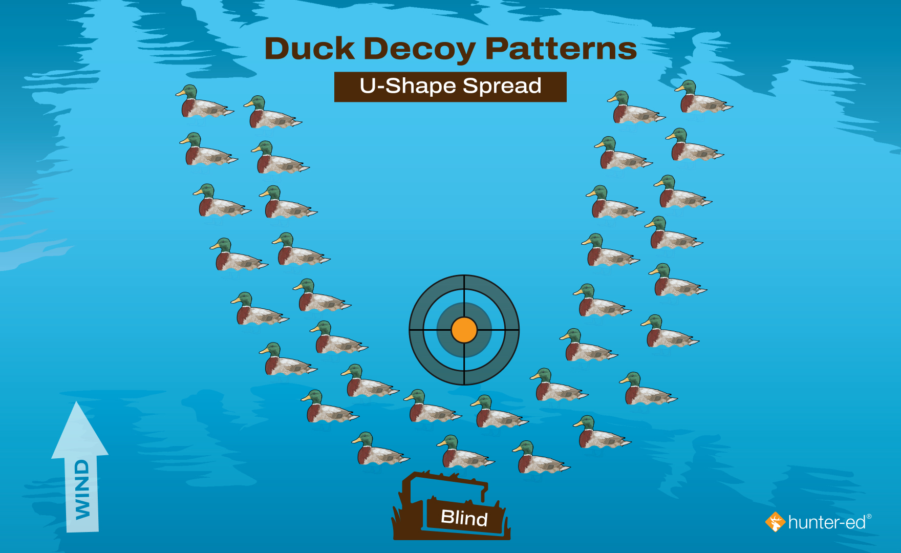 Diagram of the duck decoy U-Shape spread.