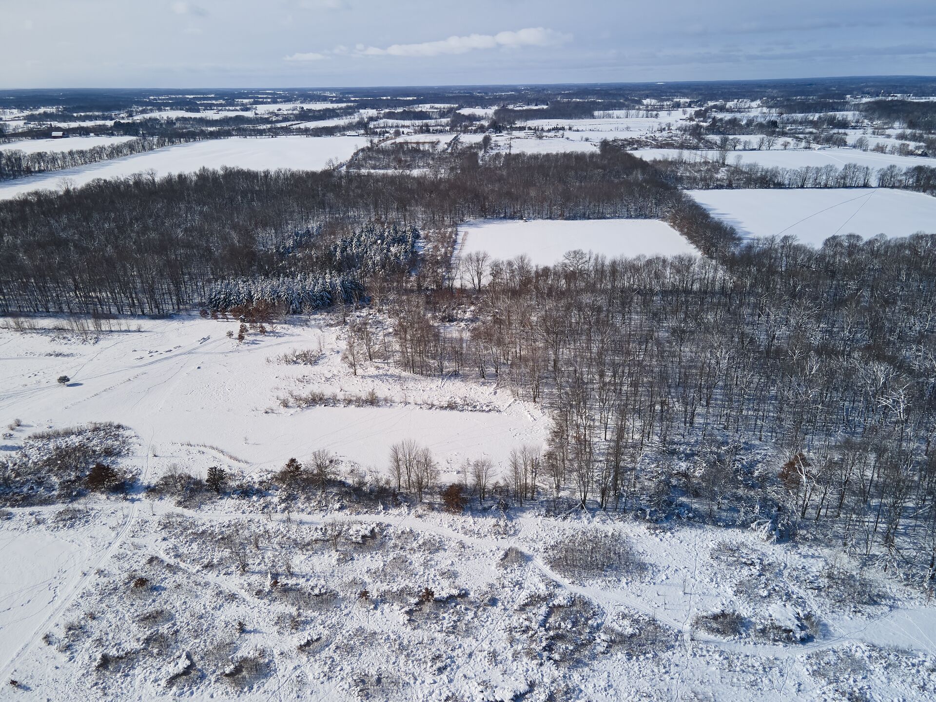 Aerial view of snowy land and trees, late season deer hunting concept.