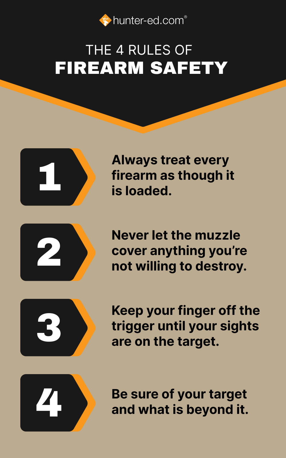 Graphic showing the four firearm safety rules of hunting. 
