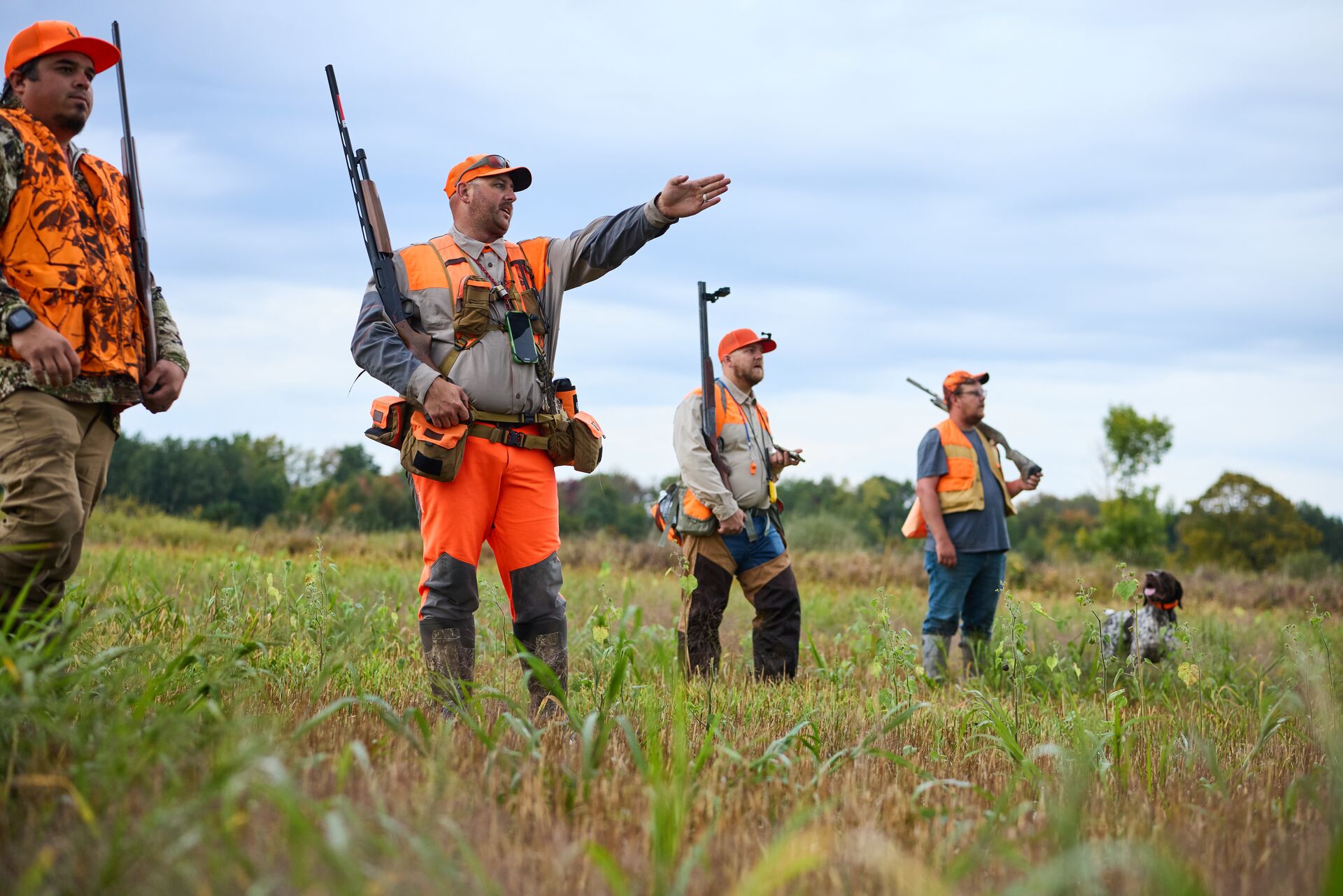 Hunter in blaze orange with shotguns in field for upland hunt, hunting safety tips concept. 
