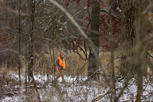 The Tennessee Rabbit Hunting Season 2026 | Hunter-ed.com™