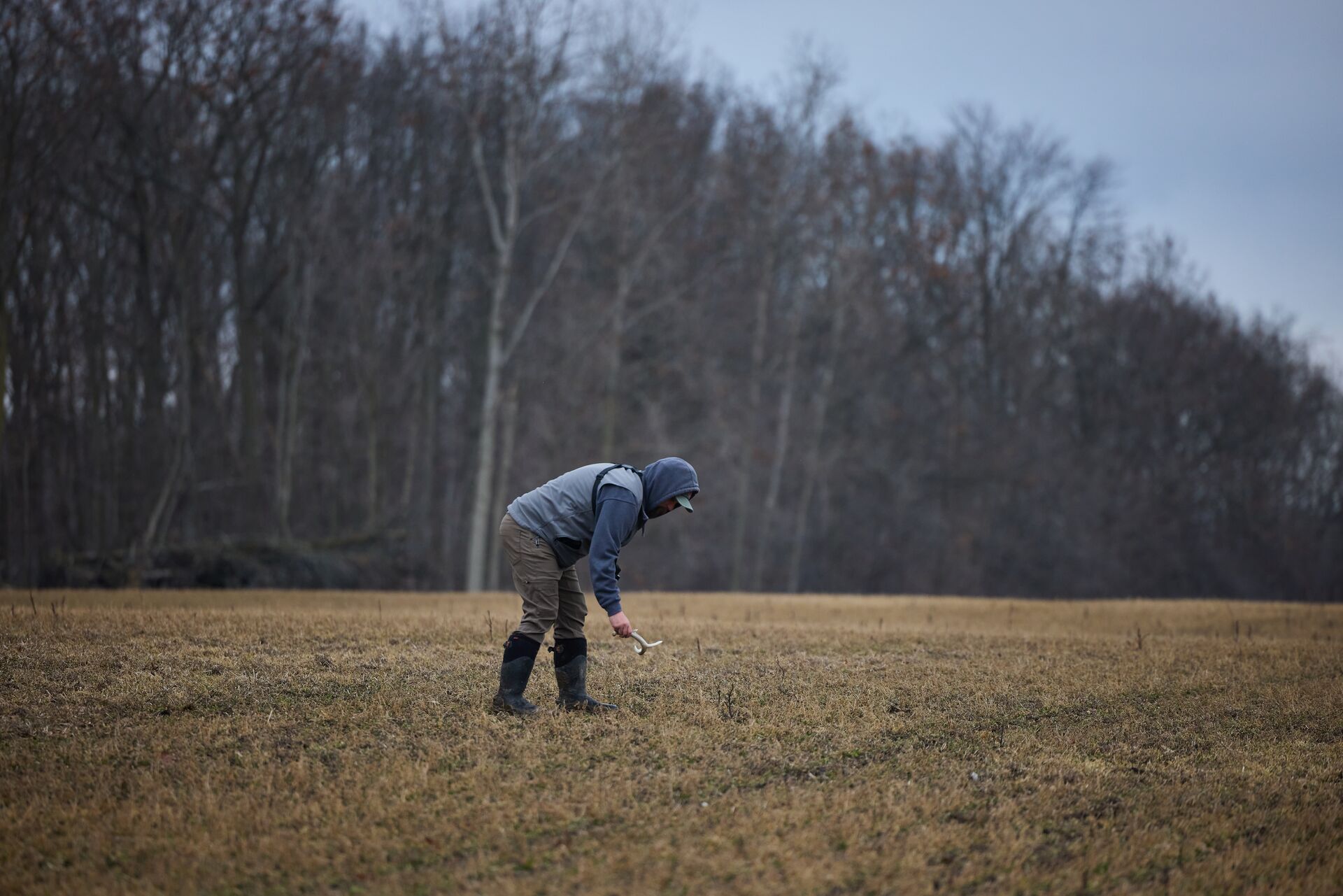 Hunter picks up shed antler in field. 