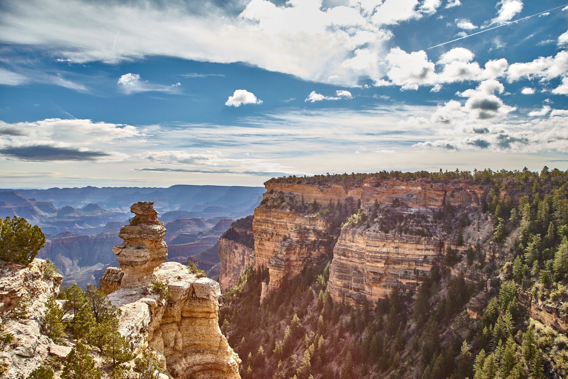 Wide view of the Grand Canyon, jackrabbit hunting Arizona concept.