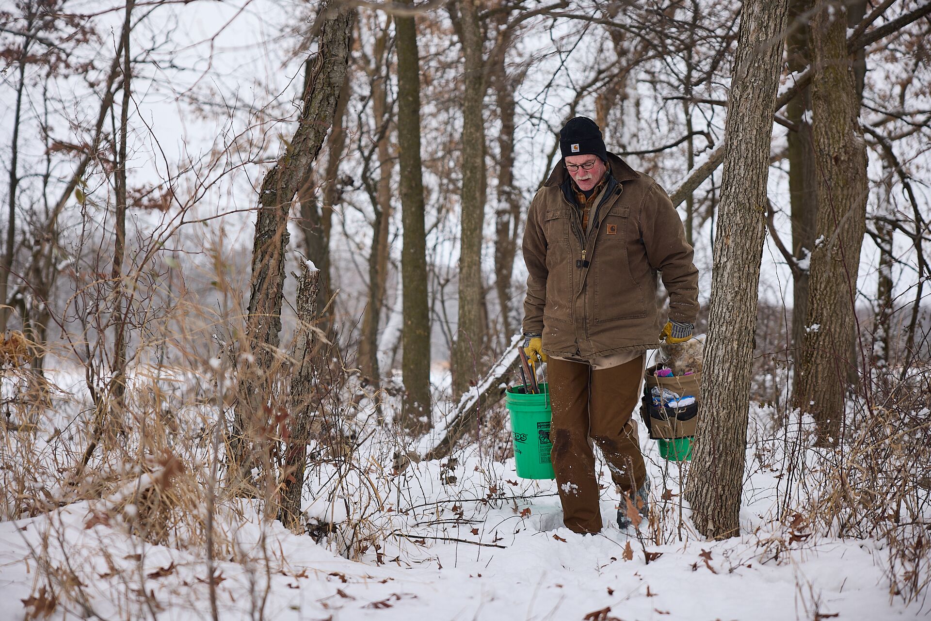 Hunter carries trapping gear in the snow, best traps for coyotes concept. 