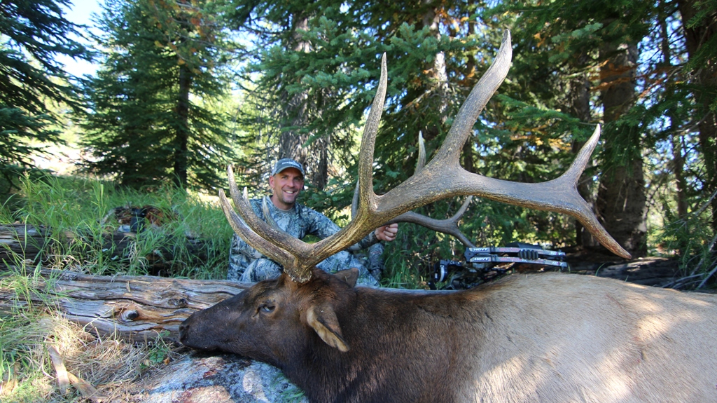 Tips for DIY Elk Hunting Success