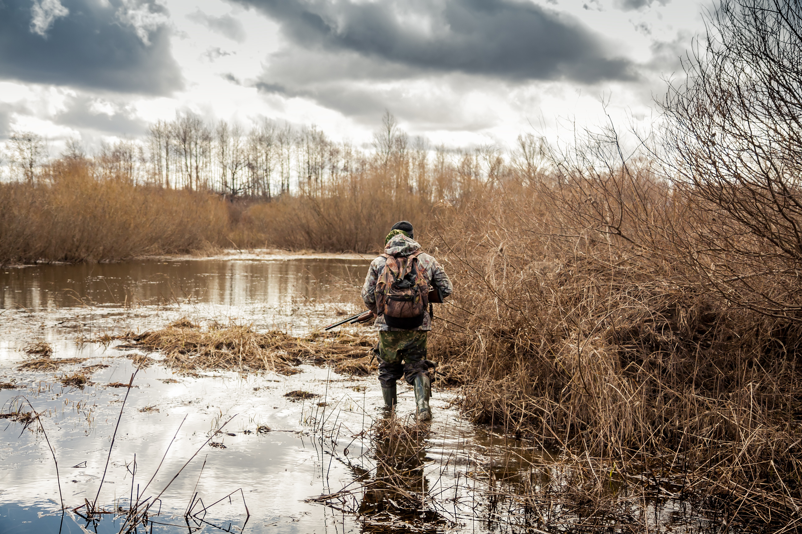 A hunter walking in a marsh looking for waterfowl, busting anti-hunting myths concept. 