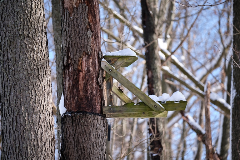 A hunting tree stand, tree stand safety concept. 