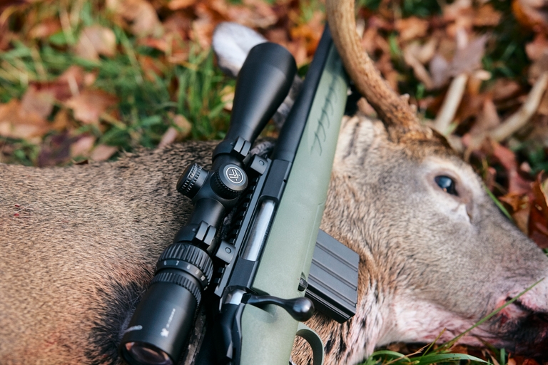 A rifle on top of a deer killed in the field, how to transport firearms safely concept. 