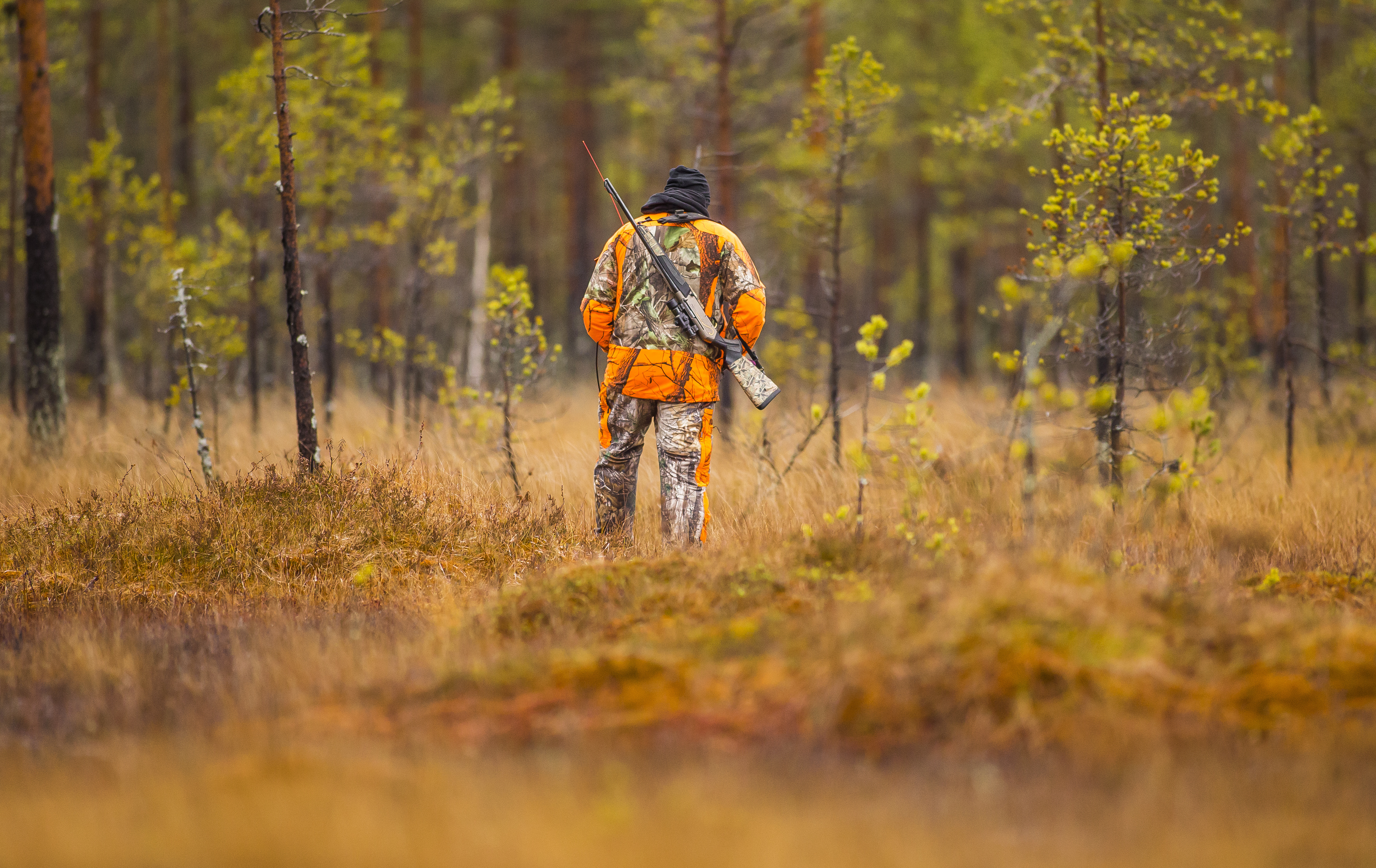 A hunter wearing blaze orange in the woods, gear for hunting. 