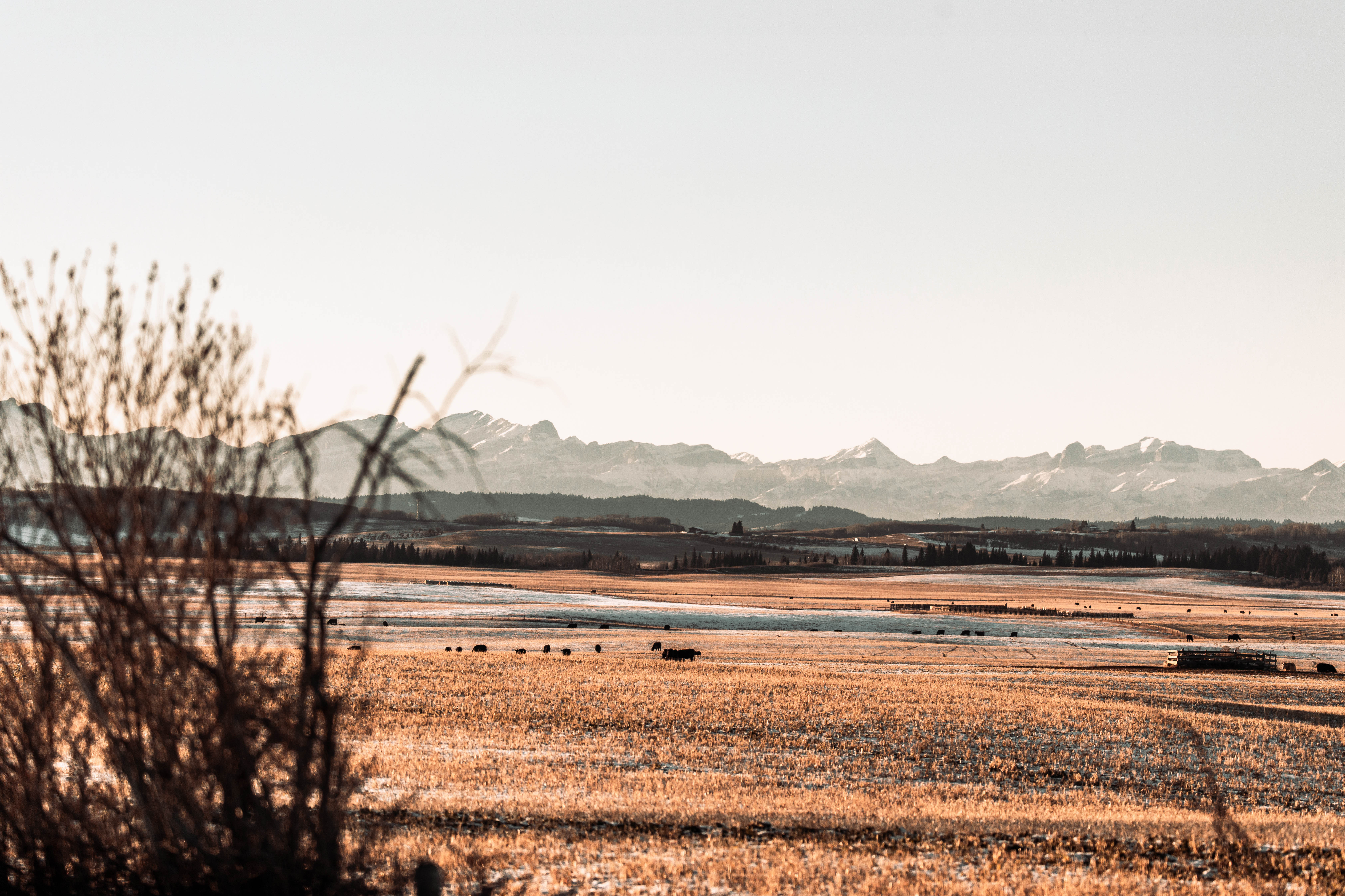 An open field and hills for hunting, wild game recipes concept. 