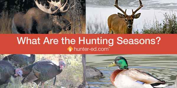 what are the hunting seasons?