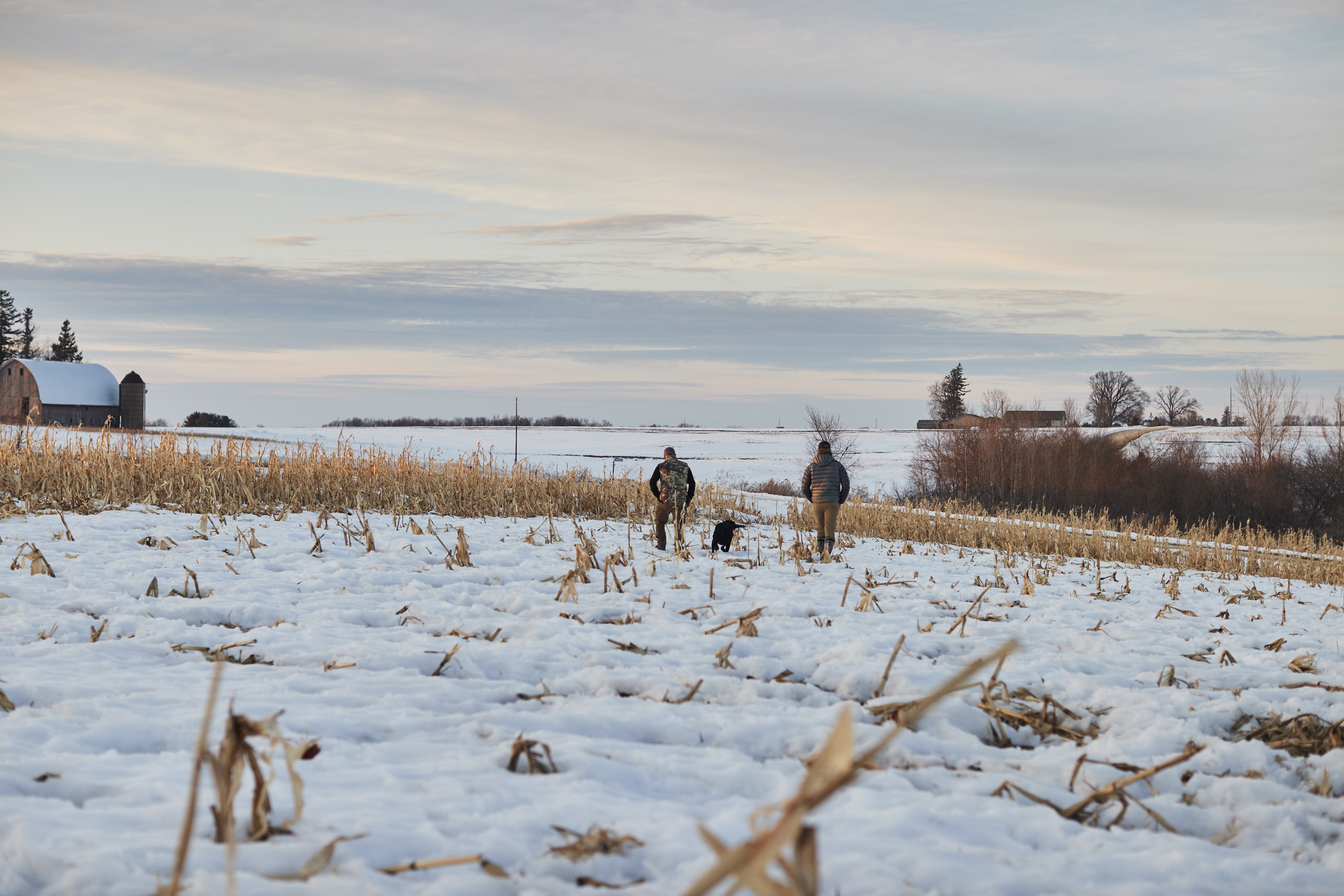 Hunters in a field with a hunting dog.