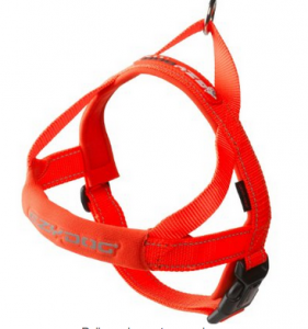 orange adjustable dog harness
