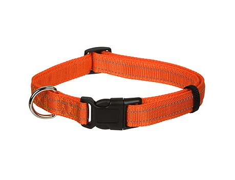 blaze orange dog collar
