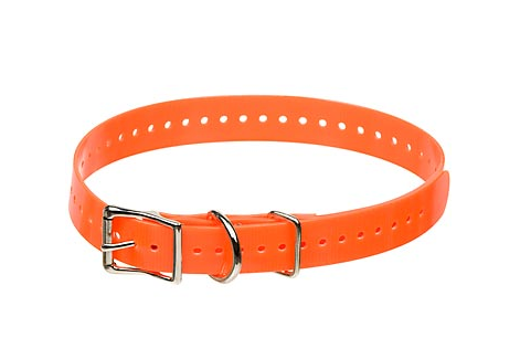 A blaze orange collar for a hunting dog. 