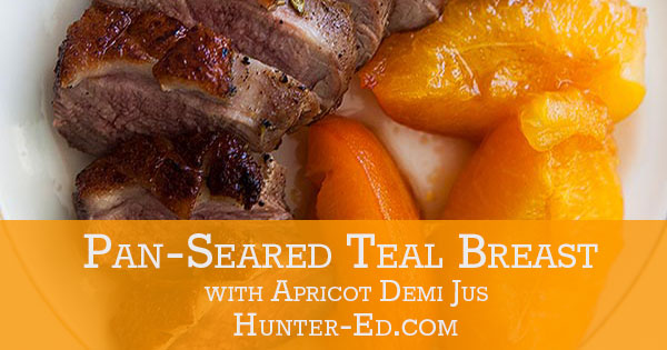 recipe pan-seared teal breast
