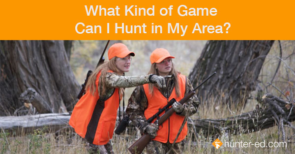 What Kind of Game Can I Hunt in My Area?