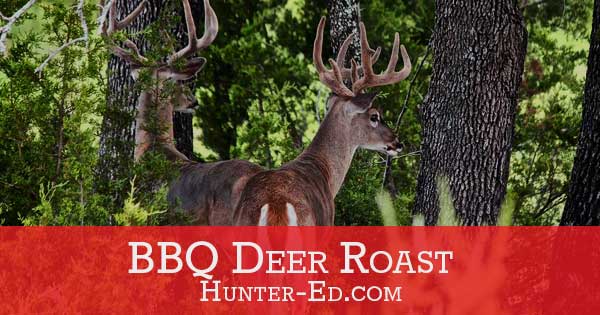 BBQ Deer Roast