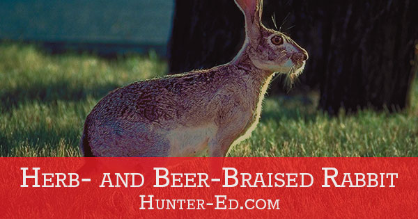 Recipe: Herb- and Beer-Braised Rabbit