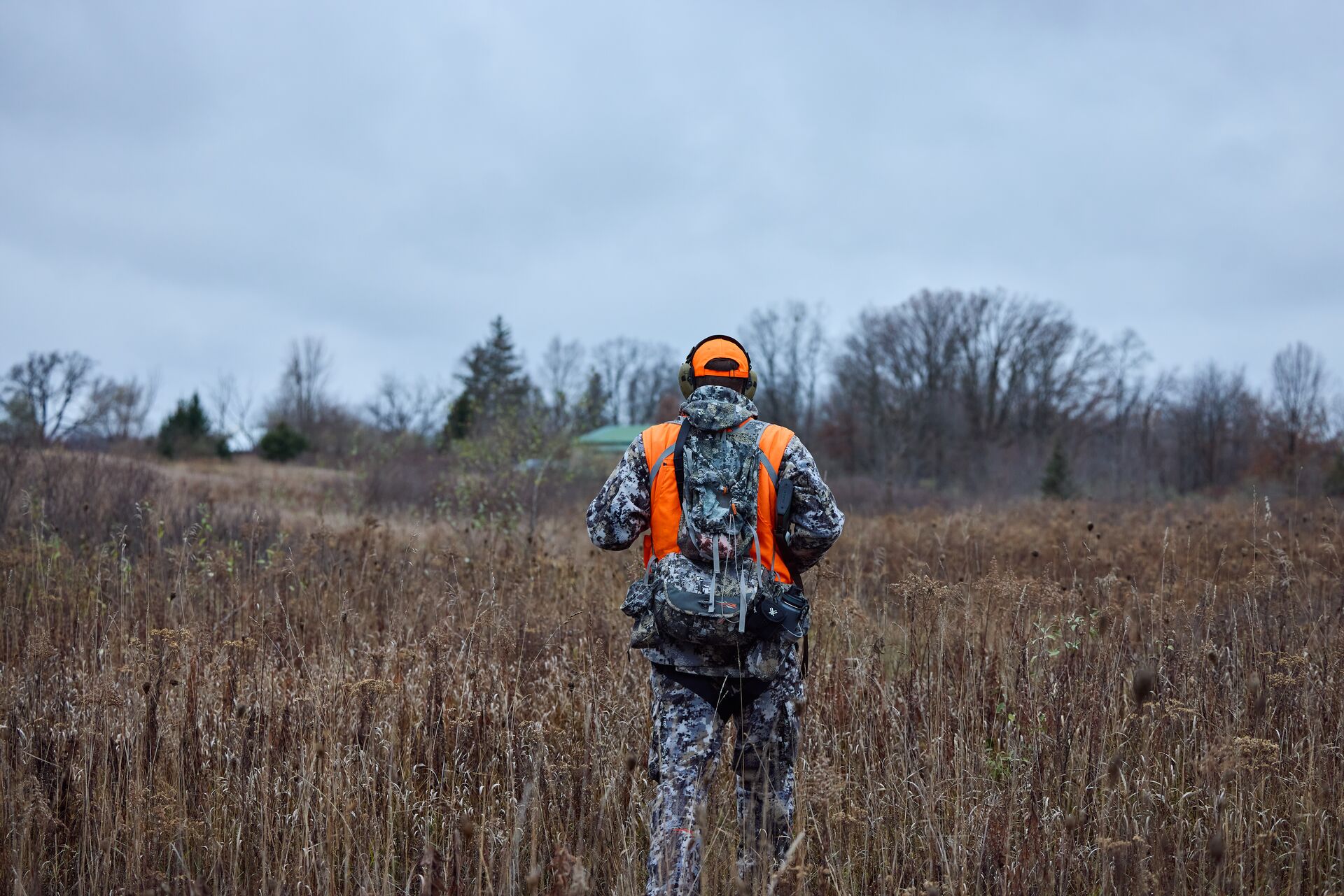 Back view of a hunter in camo and blaze orange in a field.