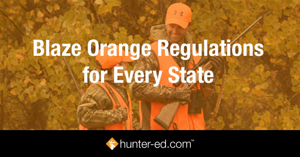Blaze Orange Regulations for Every State