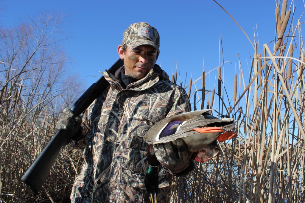 Duck Hunting Season North Carolina: Your Ultimate Guide to Season Dates and Bag Limits
